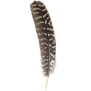 Smudging Feather - Wild Turkey