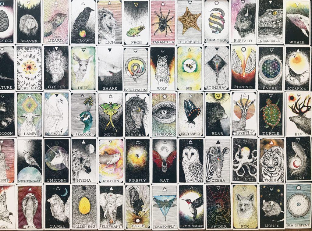 animal spirit cards front side