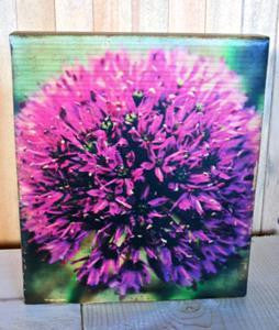 Ten Oaks Design - 7.25" x 10.25" Wood Block Art - Round Purple Flower