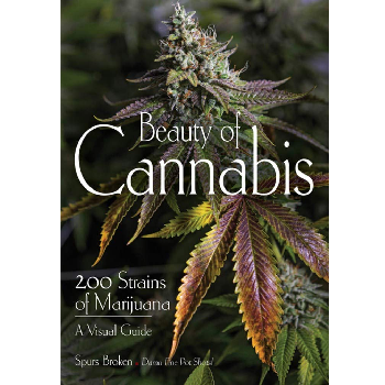 Beauty of Cannabis by Spurs Broken