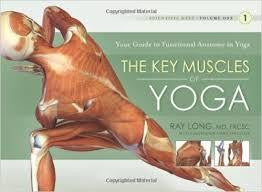 key muscles of yoga